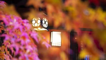 施設の入り口 / 6