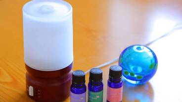 客室の設備とサービス / 6