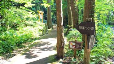 施設の敷地 / 30