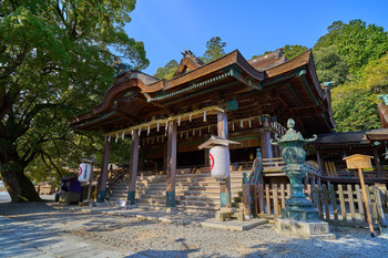 See the main shrine of Kotohira Shrine in Kotohira Kagawa Prefecture