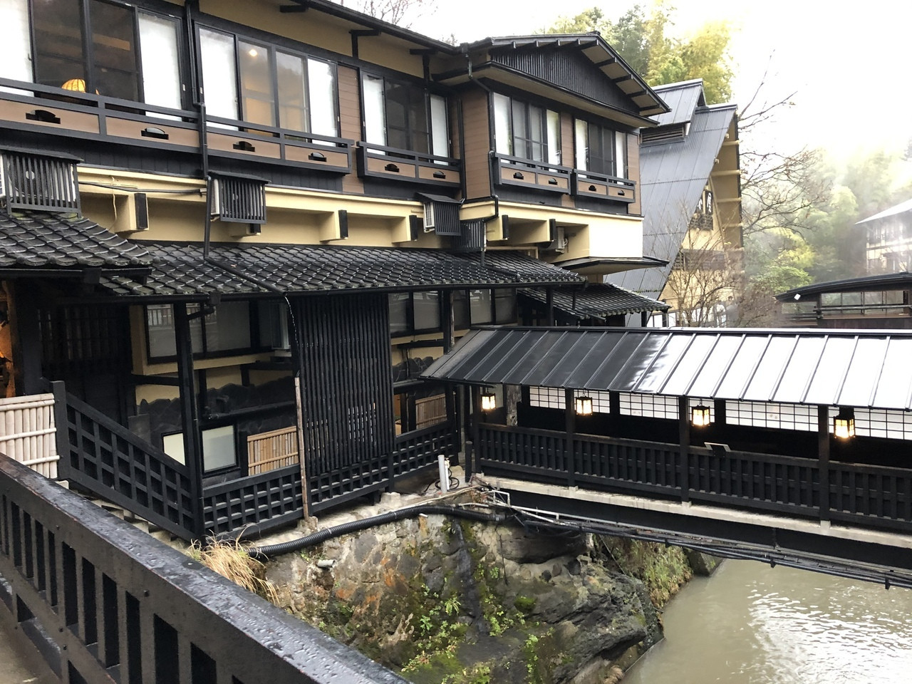 葛城山のツツジ　奈良県