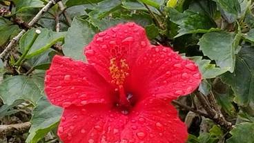 施設からの眺望 / 38