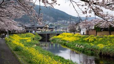 ランド ビュー / 33