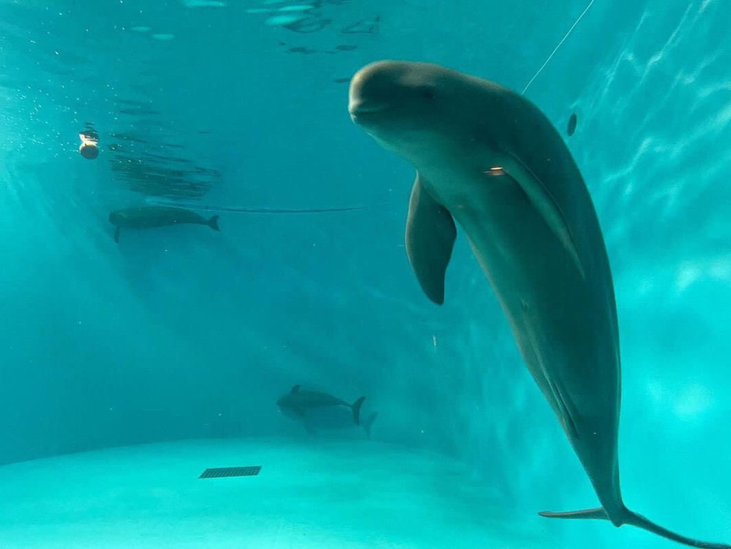 宮島水族館② / 4