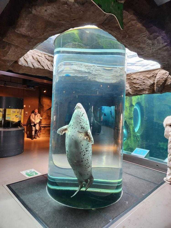 mihona07さんの写真 / 1