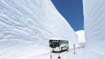 観光スポット / 8