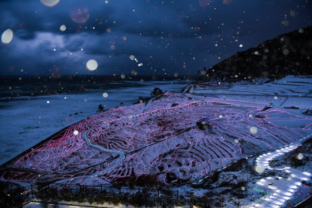 （石川県）田植の済んだ、白米千枚田　朝