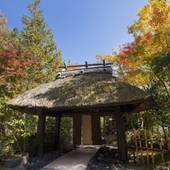 黒川温泉 里の湯 和らく(熊本県 旅館) / 4