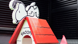 [109] SNOOPY Golf Retreat Room, Non Smoking