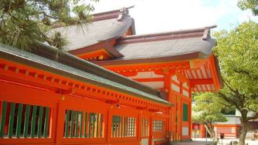 シティ ビュー / 29