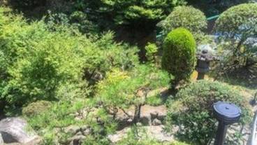 バルコニーからの眺望 / 21