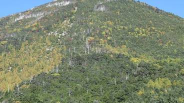 マウンテン ビュー / 12