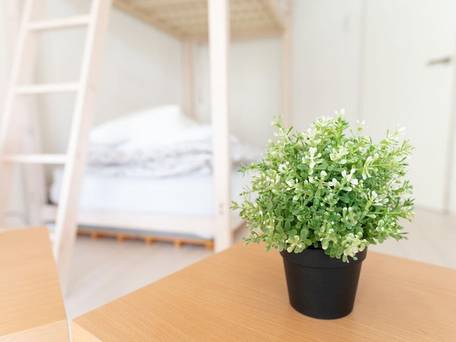 Casa Blanca Guesthouse / 4