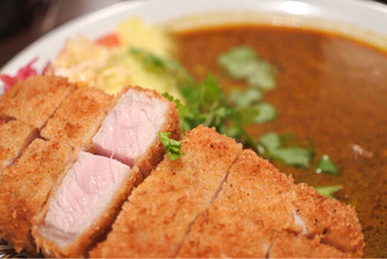 「スパイス豚カツカレー」がおすすめ！1311867