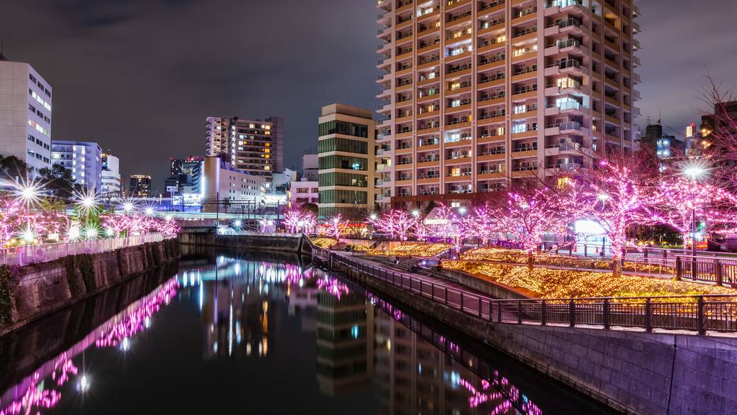 目黒川のイルミネーション / 5