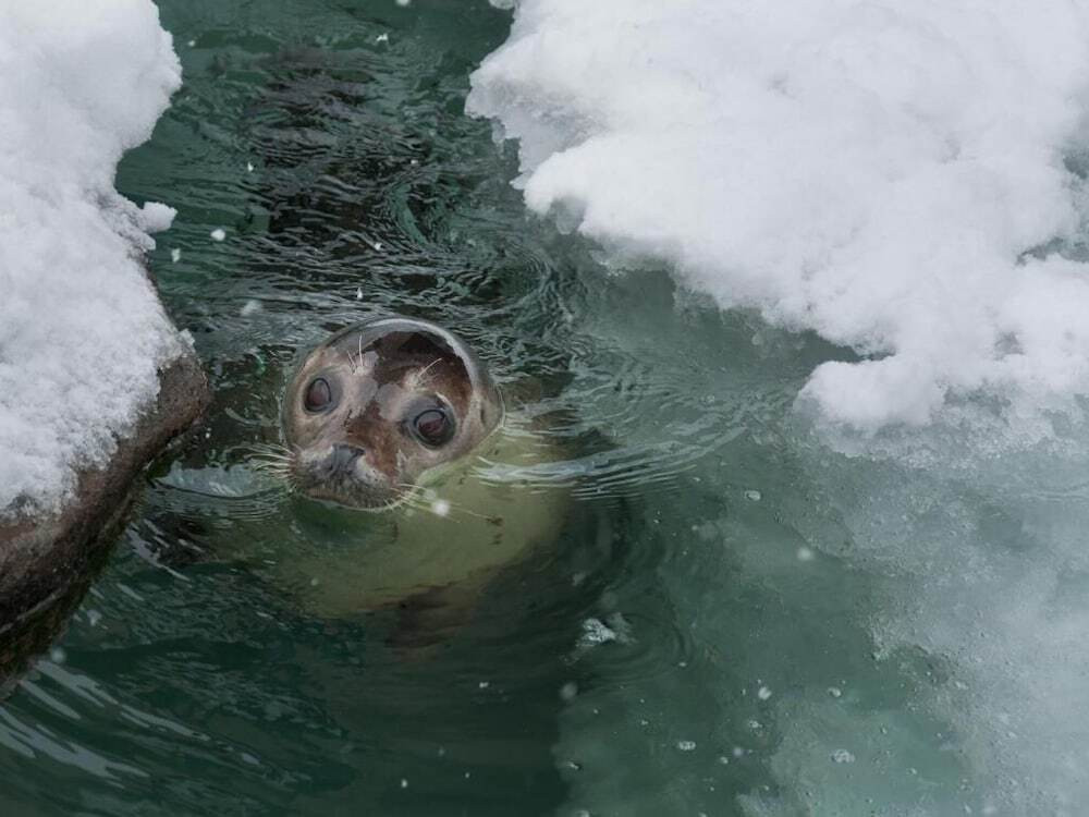 フィットネス設備