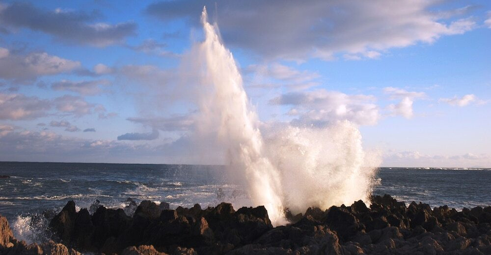 施設からの眺望