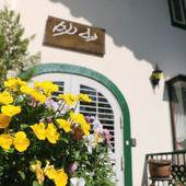 伊豆高原温泉 花の宿 介山(静岡県 旅館) / 4