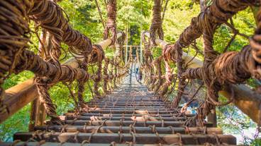 祖谷のかずら橋 / 2