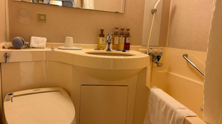 訳ありダブル (禁煙) エレベータドア開閉音あり