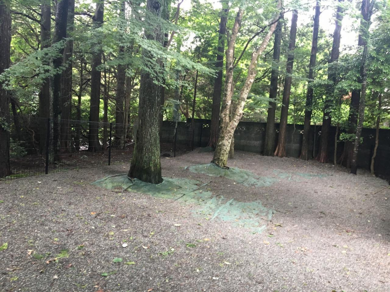 ドッグランでのびのび、ミニキッチンで⼿作り⾷も3925051