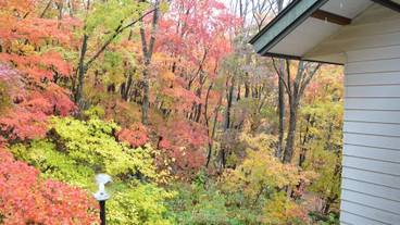 施設からの眺望 / 11