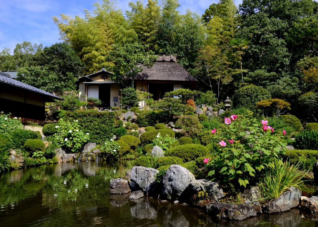 「芙蓉池」と池泉回遊式庭園1025913