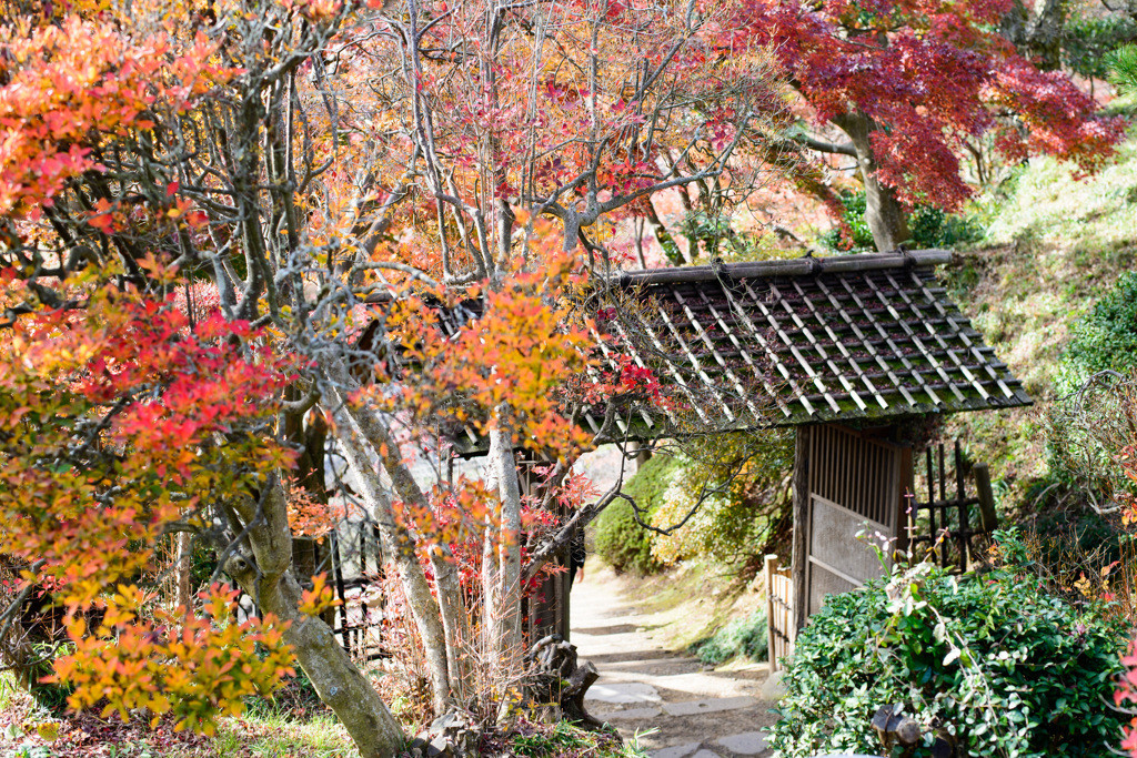 水戸は、家族みんなで楽しめる観光地！3950649