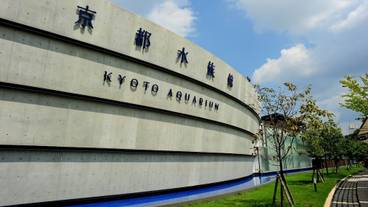 観光スポット / 16