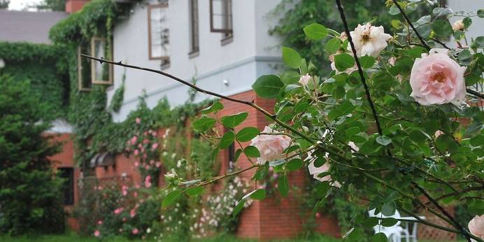 YORKSHIRE FARM（ヨークシャーファーム）（北海道 ペンション） / 1