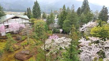 部屋からの景観 / 16