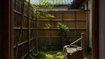 客室 / 26