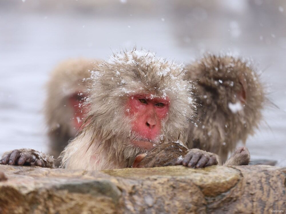 施設からの眺望