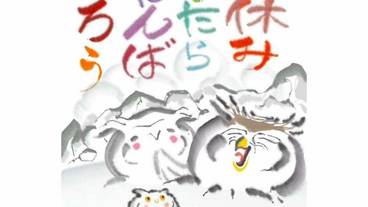 内装の詳細 / 14