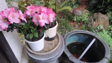 施設の敷地 / 13