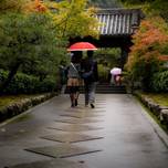 雨の日でも楽しもう！京都・おでかけスポットのおすすめ7選