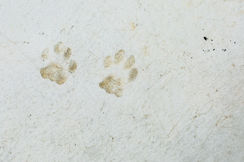 施設からの眺望