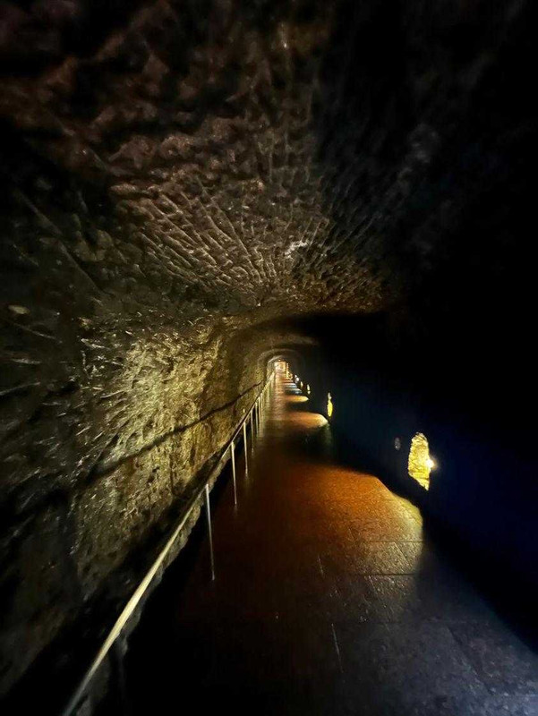 oooooy0815さんの写真 / 1