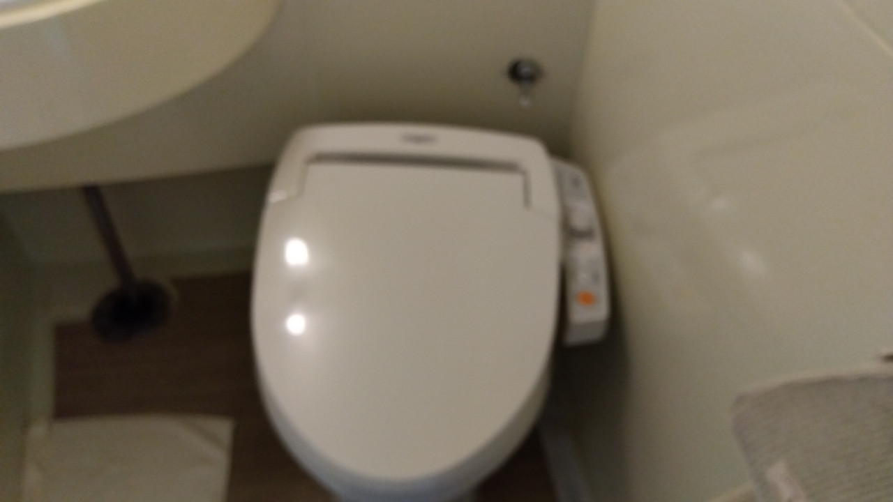 ユニットバスのトイレ、レバーがまさに昭和。