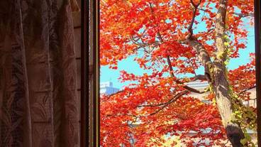 部屋からの景観 / 10