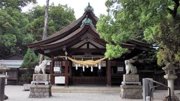 シティ ビュー / 25