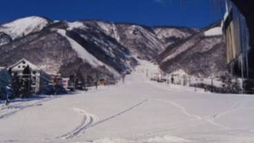 マウンテン ビュー / 25