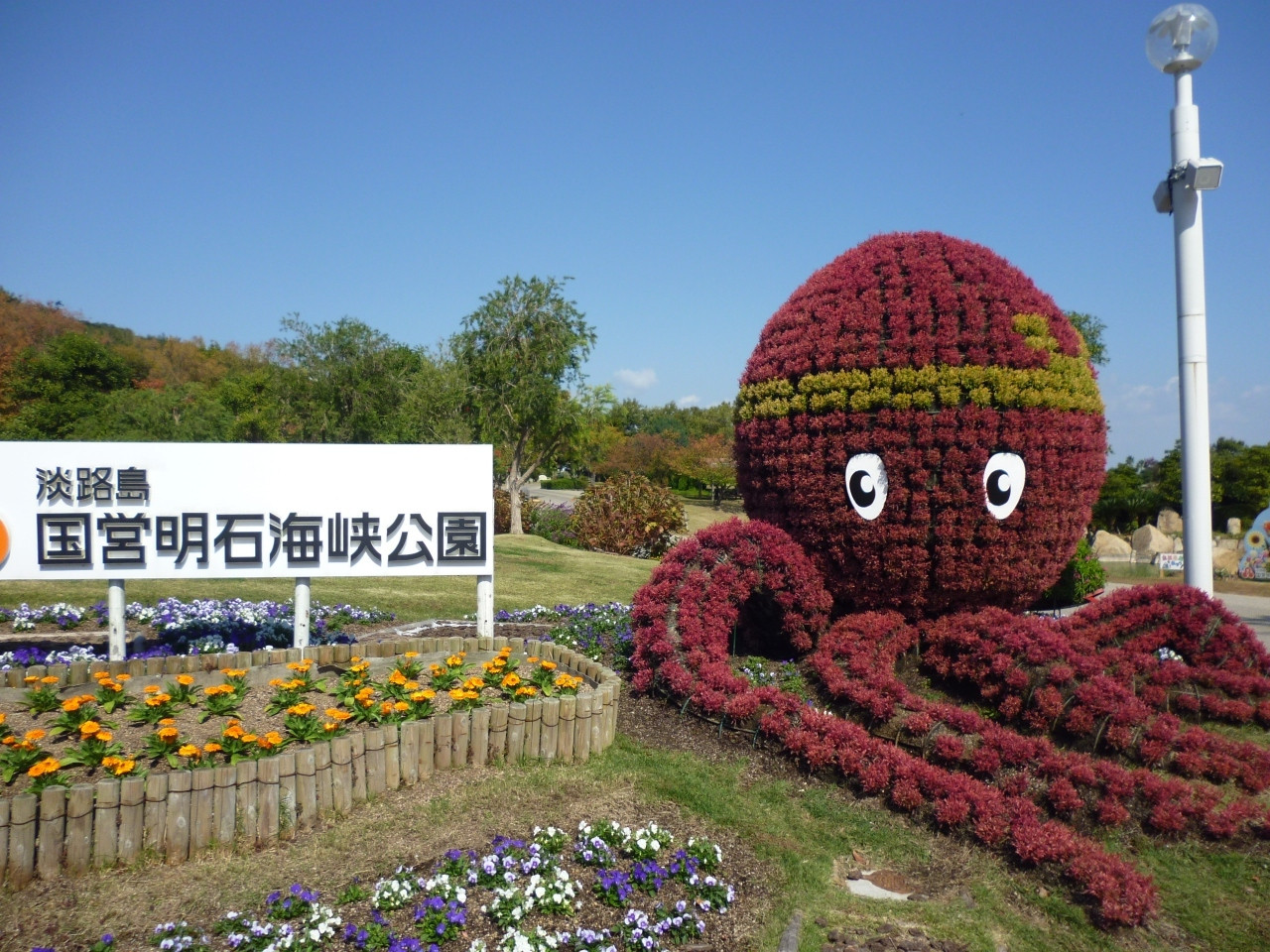 5. 花で作られたオブジェ「タコトピアリー」3737958