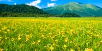 尾瀬ヶ原でおすすめのコスパがいい宿5選！ハイキングで宿泊ならココ♪