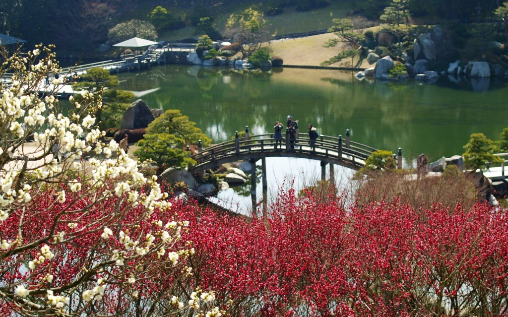 三景園 / 広島県3724374
