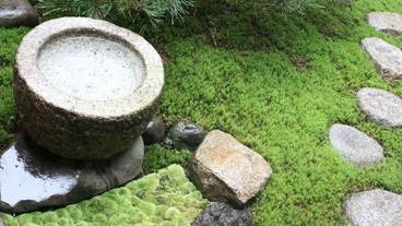 ガーデン ビュー / 26