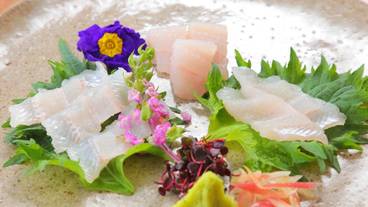 食事・飲み物 / 17