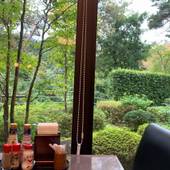 リブマックスリゾート鬼怒川（栃木県 リゾートホテル） / 5