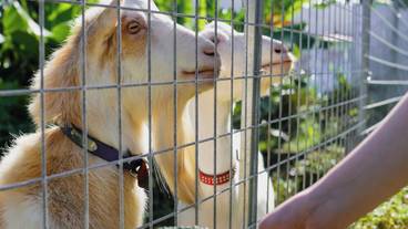 施設内の設備 / 4