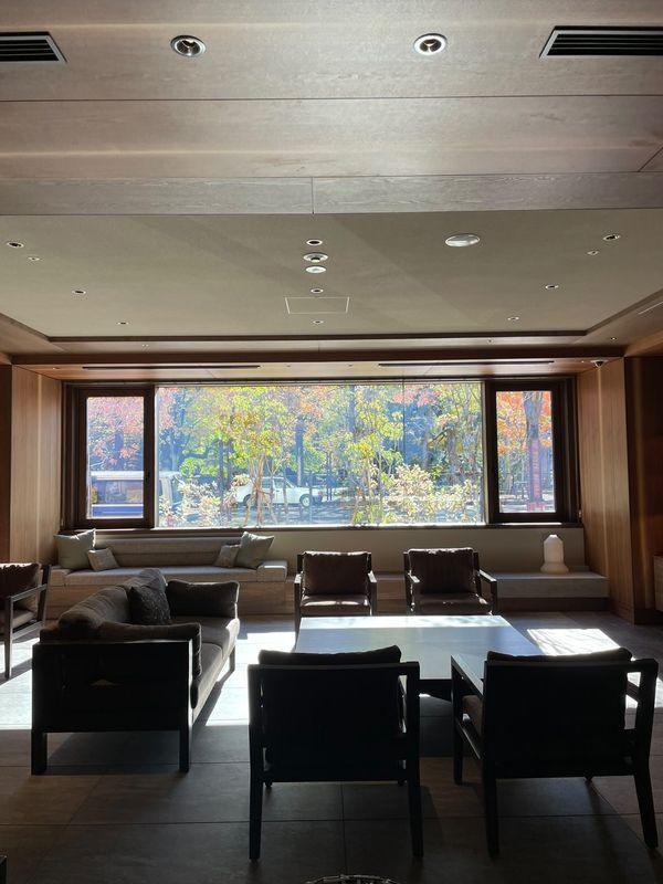 theomomoeddyさんの写真 / 1